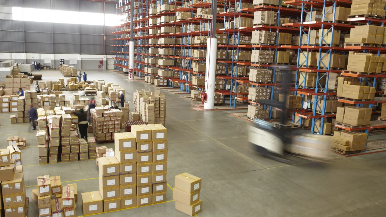 Wholesale Distributors from Mexico